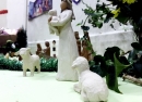 Nativity Scence (Pic 1)